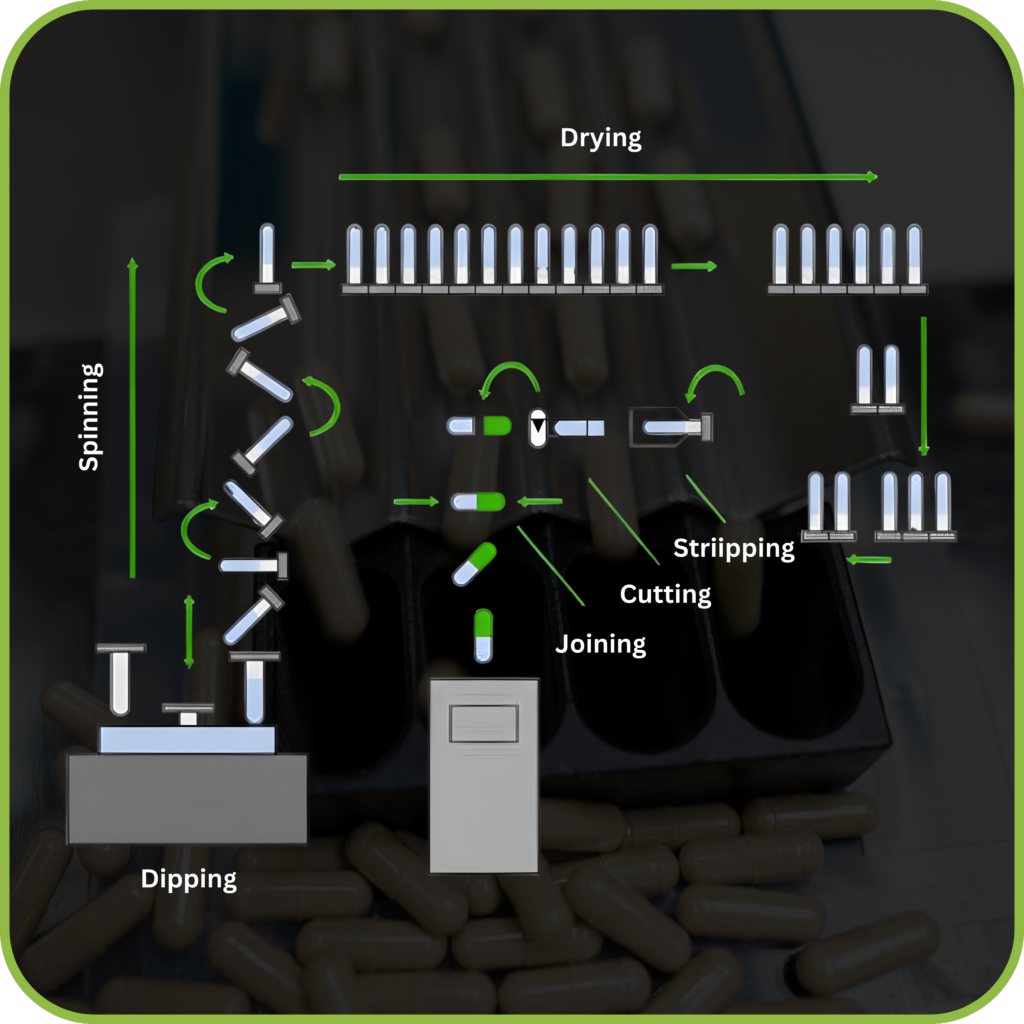 Nutraceutical capsule manufacturing process