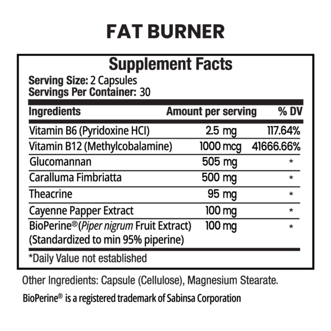 Fat Burner - Image 2